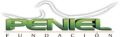logo peniel fundacion